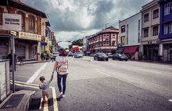 Geylang Road (D14), Shop House #588574871